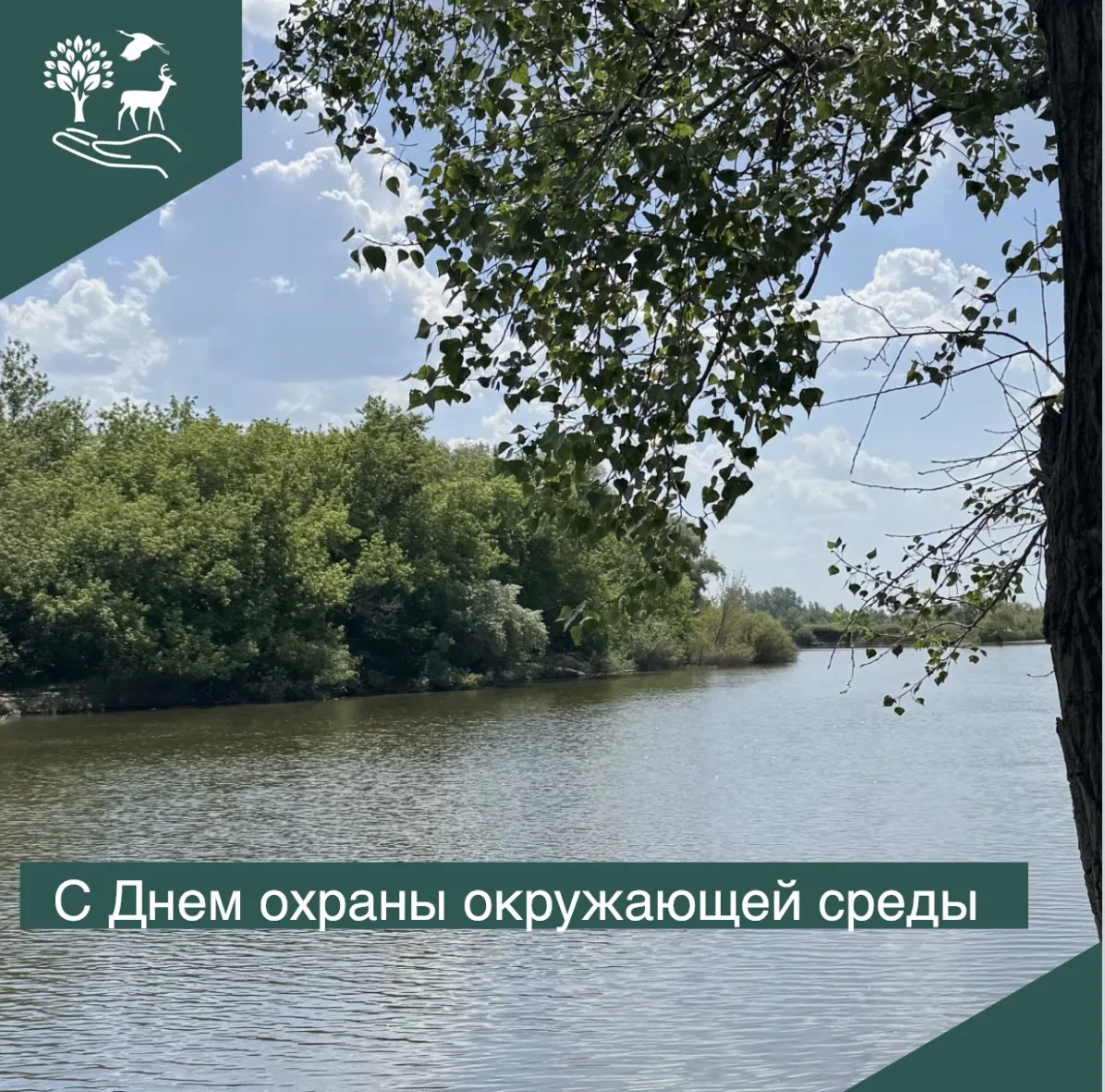 🌎День охраны окружающей среды! 

🌱Экология — не просто наука, это философия ответственного отношен