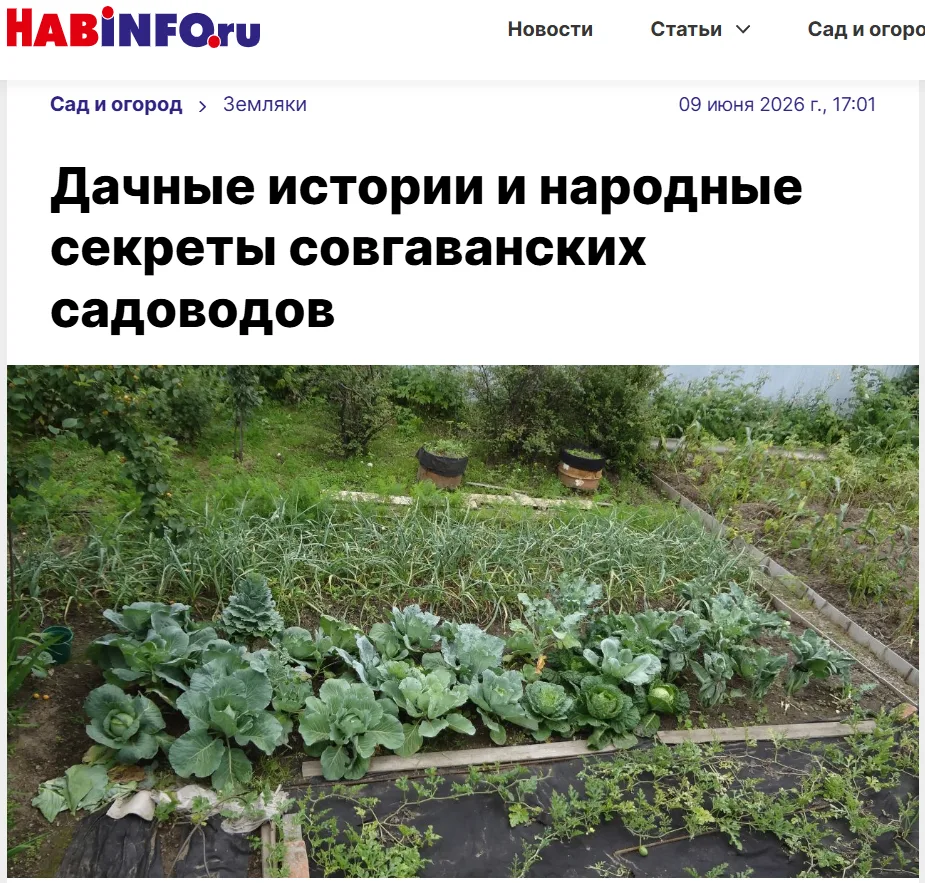 🌿 Наш клуб «Урожай» — это настоящая кузница дачной мудрости!
С гордостью делимся: опыт участников н