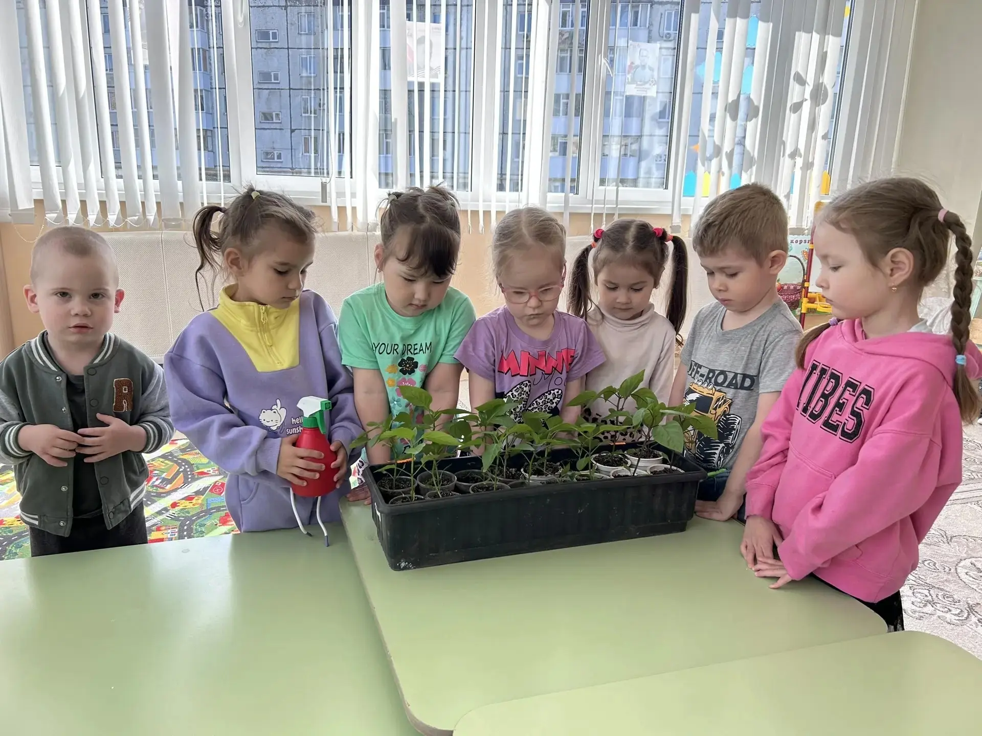 Наши дети знают, что такое экология! 🌱
Экология для дошколят — это не сложные термины из учебников,