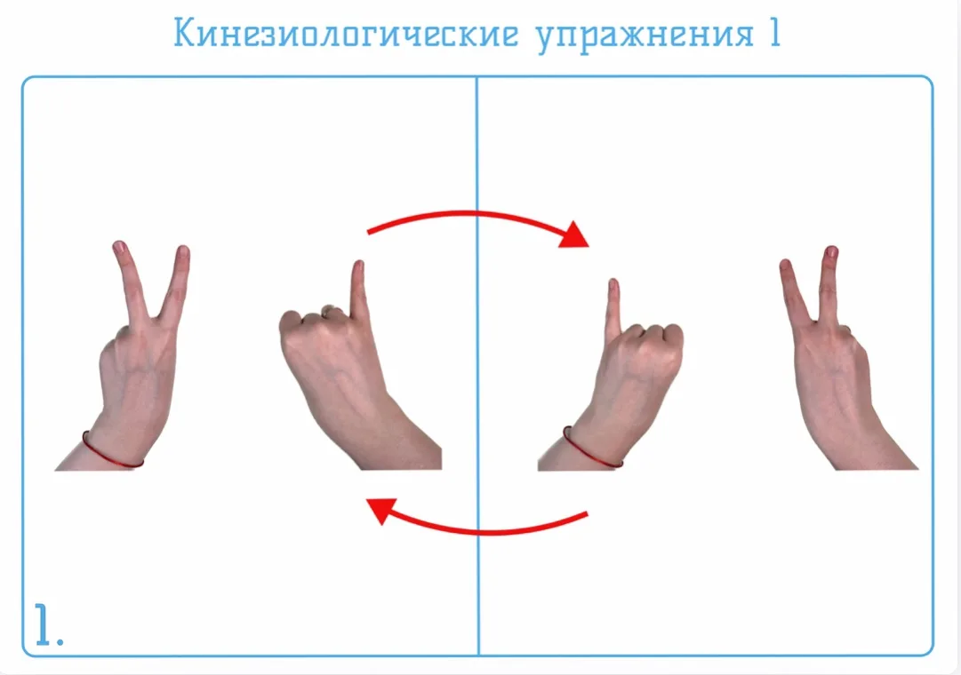 ➡️ Кинезиологическое упражнение из комплекса «Межполушарное взаимодействие»

❤️ – спасибо за упражне