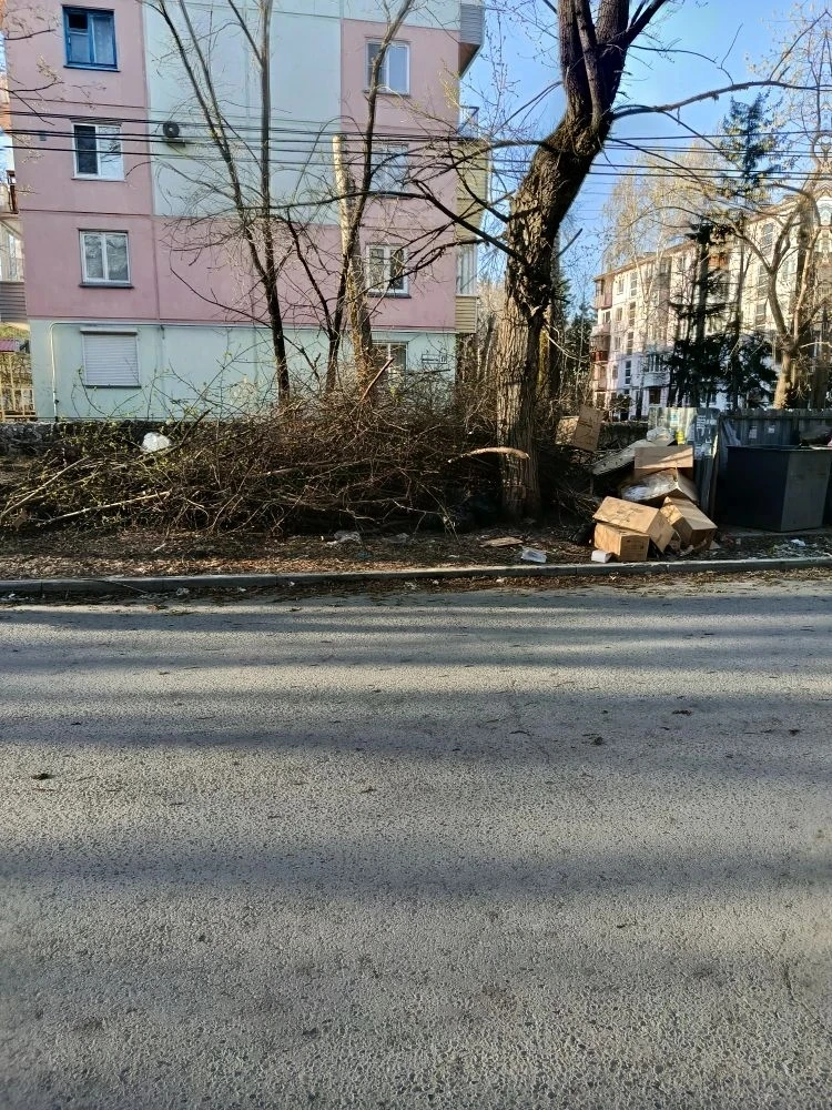 Ветки, брошенные рядом с контейнерной площадкой, могут стать началом несанкционированной свалки! 

С