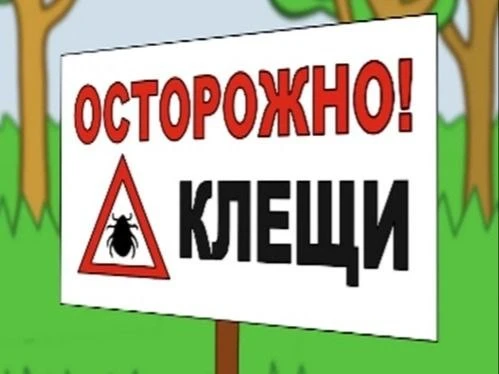 🌳🌲🌱Клещи встречаются не только в лесу. Контакт с ними возможен на даче, в городском парке, на пик