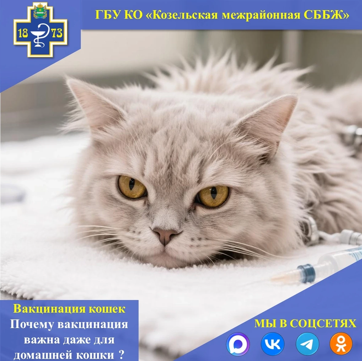 🐆Почему вакцинация важна даже для домашней кошки?

Многие владельцы считают, что если кошка не выхо