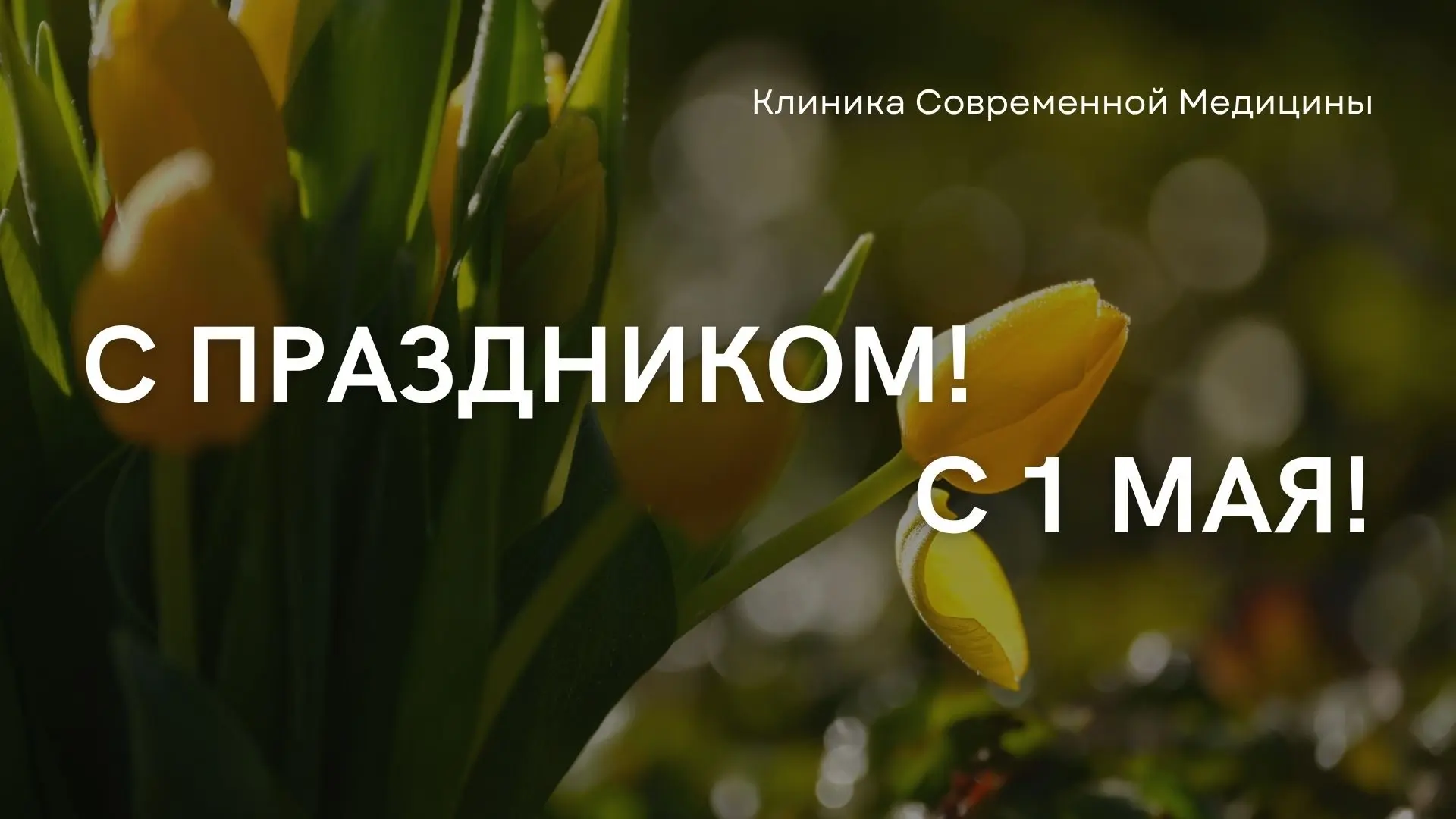 С 1 мая! 🌿
Поздравления от врачей (которые все видят😉)

Дорогие наши пациенты,
мы вас очень любим.