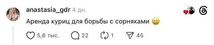 Пользователи назвали самый странный, но прибыльный бизнес, о котором они когда-либо слышали

В инт