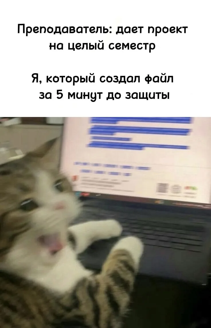 Я, который вспомнил о проекте за день до защиты)

Хороших выходных ❤️

#субботний_мем