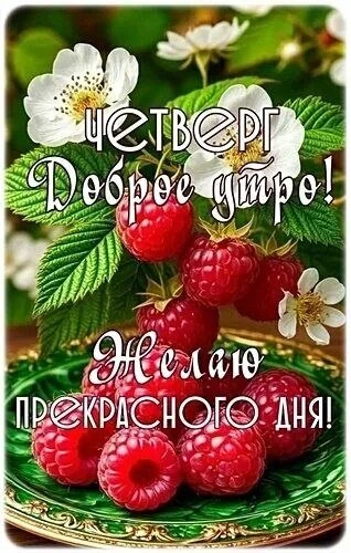 ❣❣❣❣❣❣❣❣❣❣❣