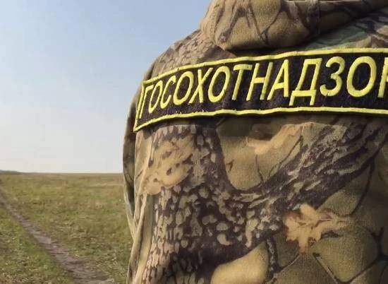 Устранены нарушения требований законодательства при захоронении биологических отходов.              
