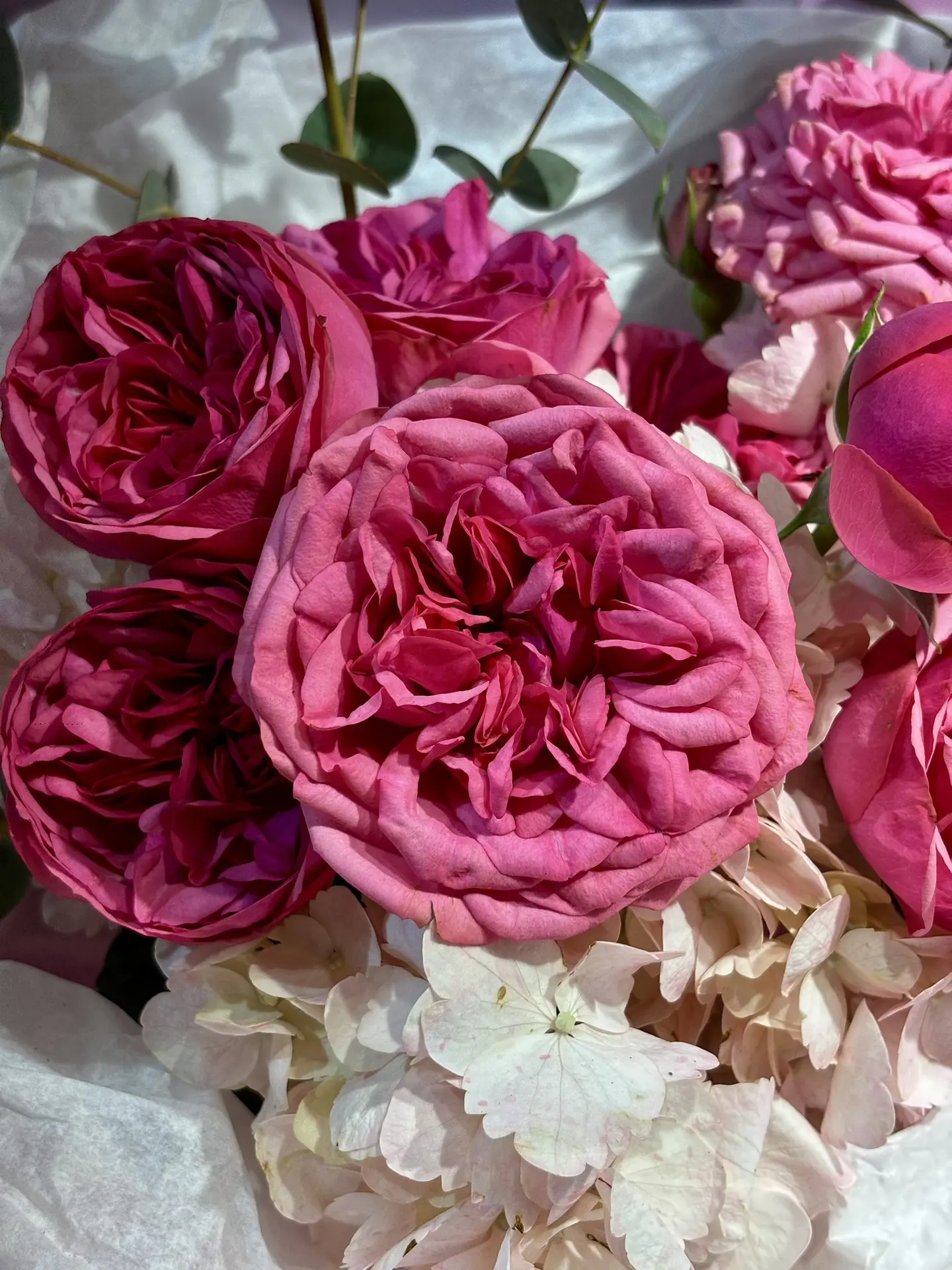 Доброе утро!🌸
Мы открыты и ждем Вас🫶🏼

Студия БлумБокс🤍

➡️ +79288447088

ТГ https://t.me/Bloomb