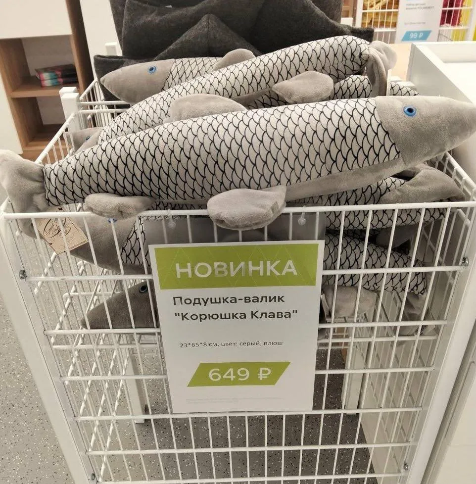 Наш ответ икеевской акуле 😁

Новости Петербурга в MAX. Подписаться.