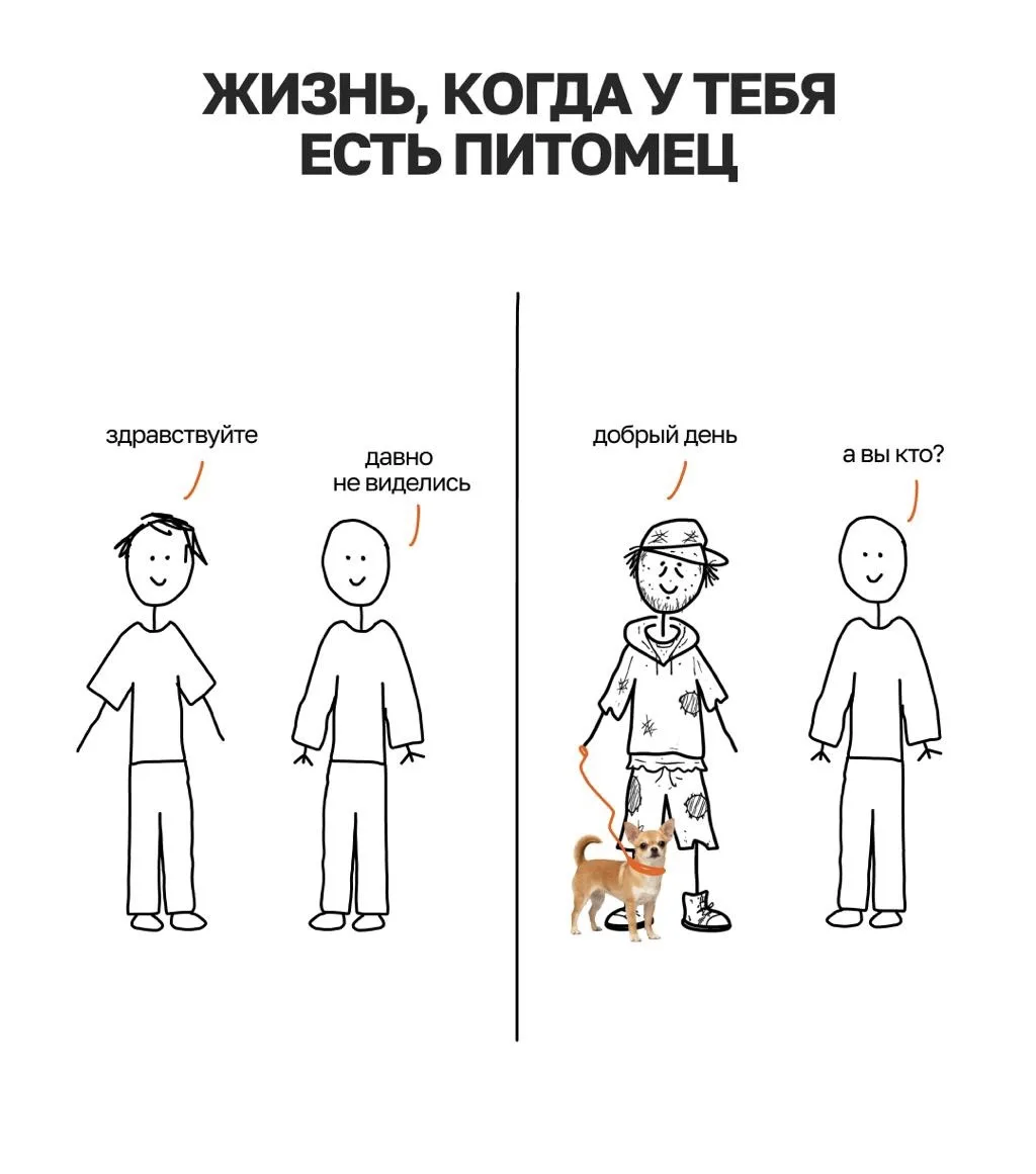 💘Отправьте тому самому хозяину!

Мы сделали всё, чтобы найти друг друга стало проще❤️

Теперь во Вл