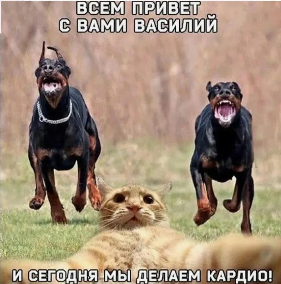 😂😂😂