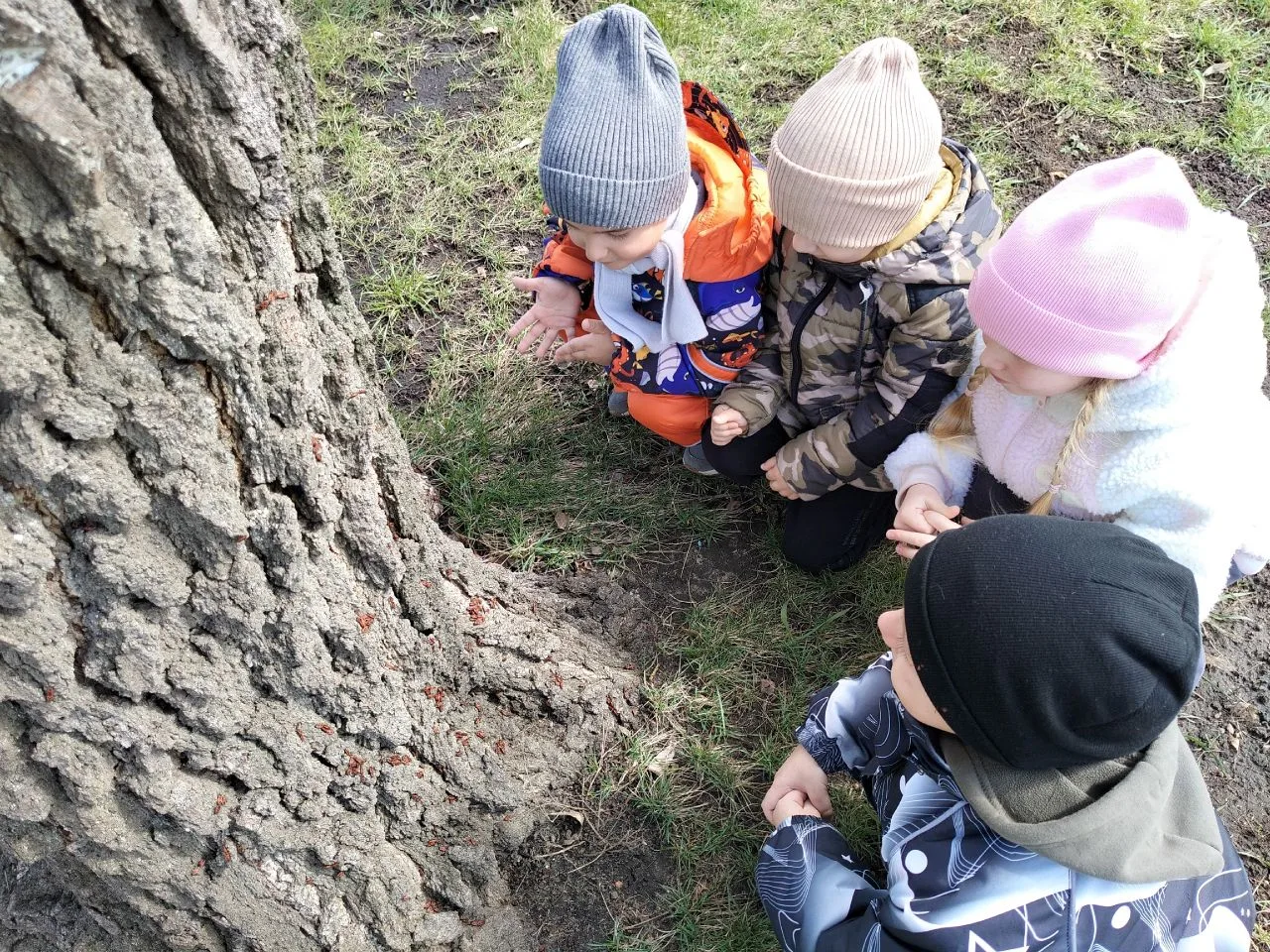 🌿 Друзья природы: экологический марафон в 9 группе!
В нашей группе прошел увлекательный марафон «Бу