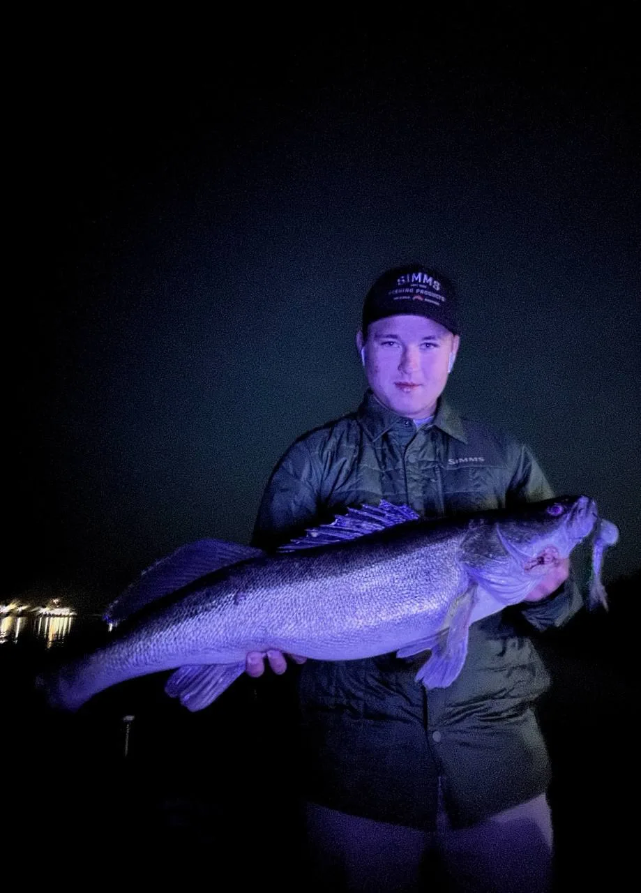 🌉Ночной судак предпочитает «селедки» - RELAX FA RIDER 7,5" 🐟

💪Самый крупный мой судак в лодке Lo