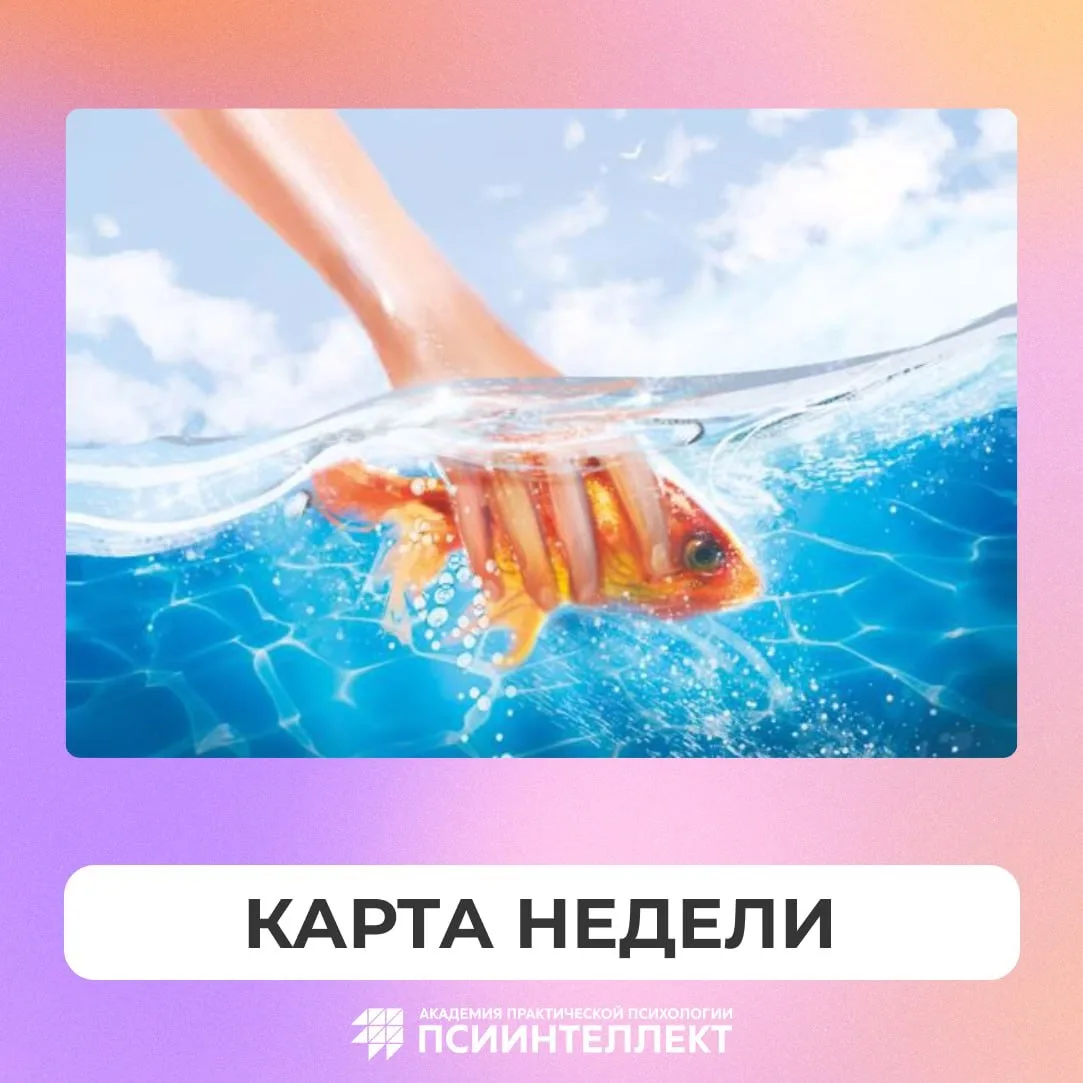 🃏 Карта недели

Каждую неделю вы получаете карту недели — возможность остановиться, отвлечься от пр