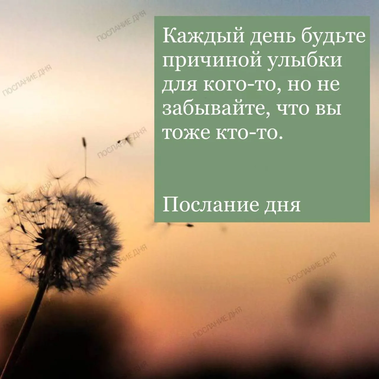 Послание дня