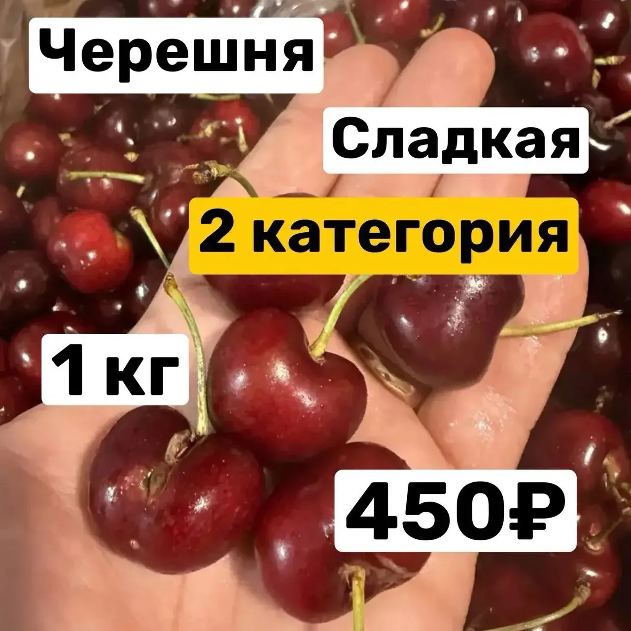 🍊🥑🍅🚚
Доброе утро !☕️ 
Мы продолжаем сбор 😋

Выдаем  уже СЕГОДНЯ 18 июня

🔥 Фрукты, овощи и зам