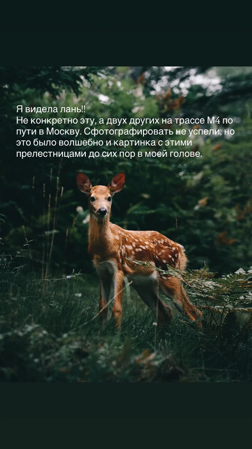 Впечатления недели 🤍