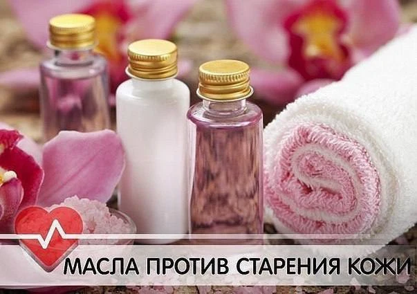 Эти масла - мощное средство в борьбе с преждевременным старением кожи ✅

Масло шалфея эффективно для
