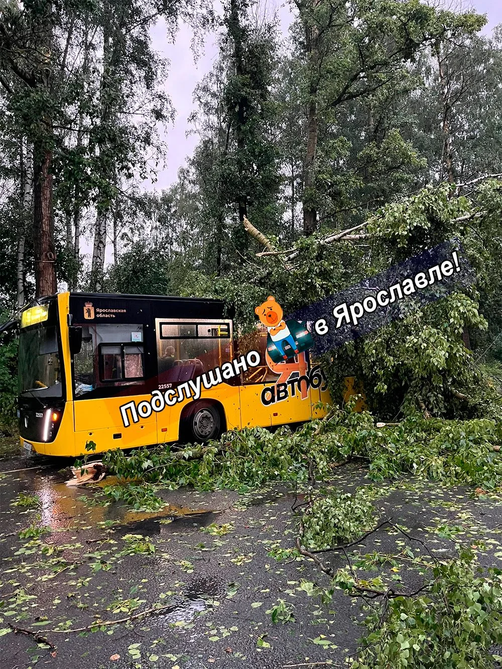 На конечной автобусов 21, 93. Ост. Очапки.

Ураган прошел. Желтенький пострадал :(

-----

❗️Подслуш