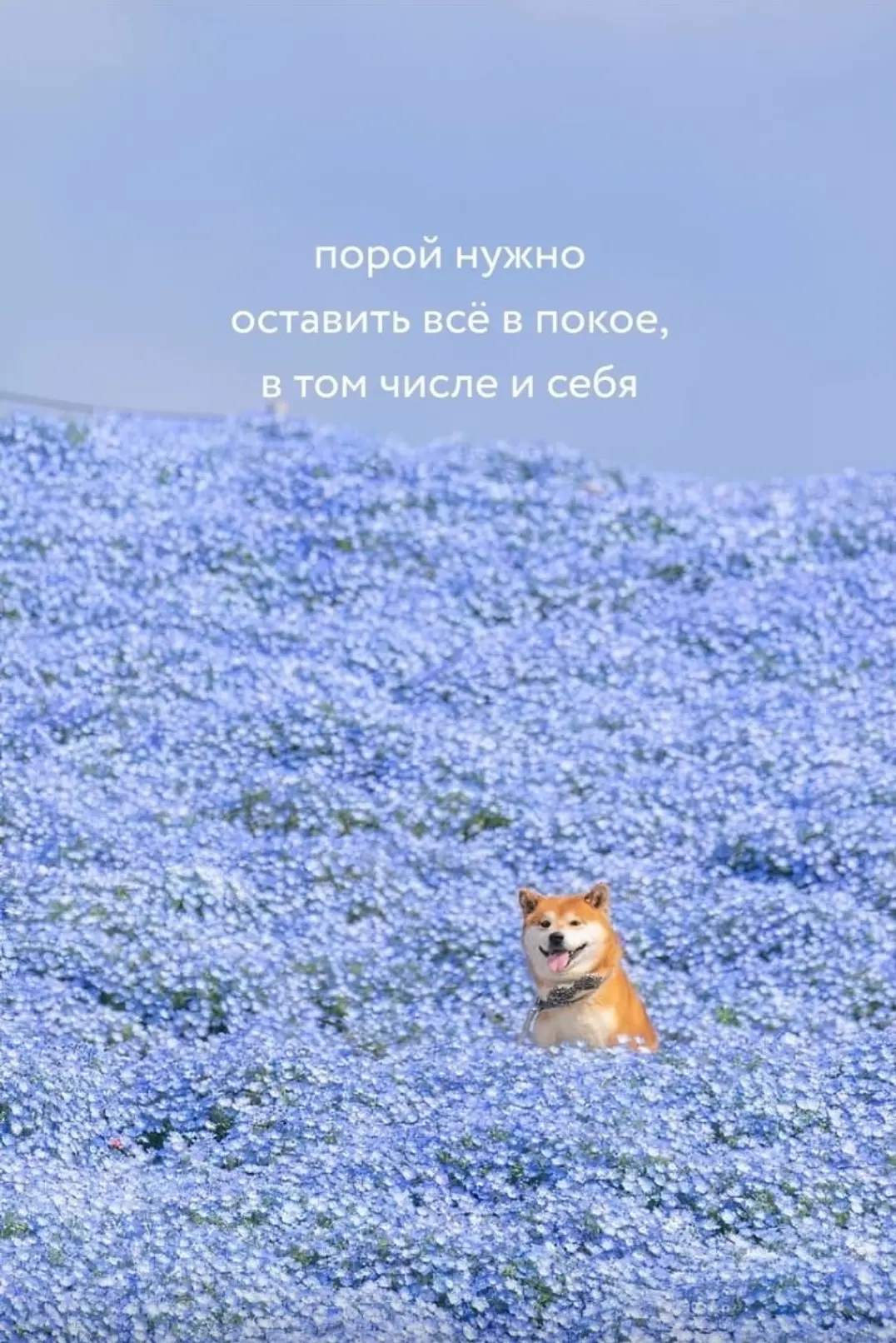 Доброе утро и хорошего дня ☀️