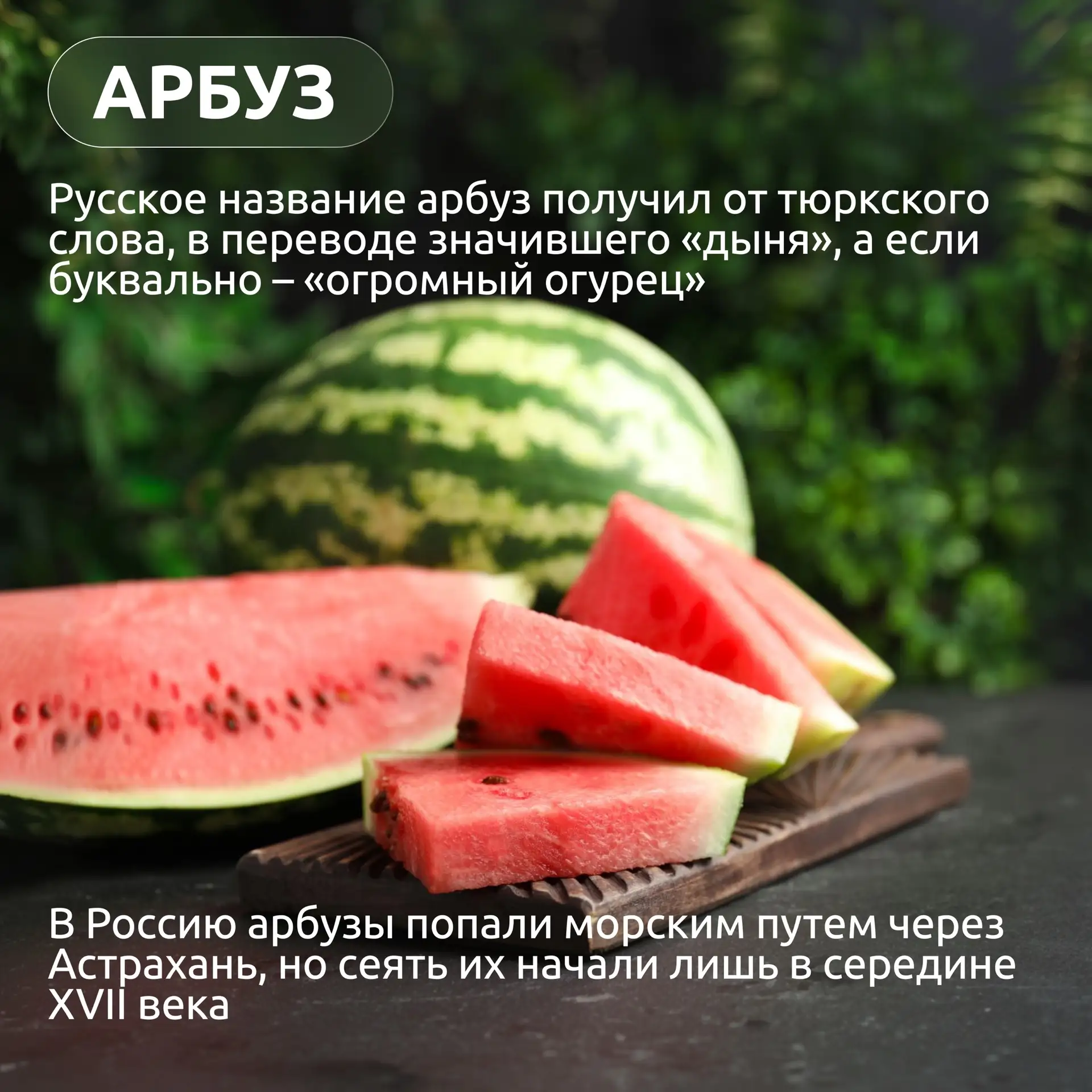 Астраханская область – удивительный край

Здесь природа и традиции сплелись в уникальные образы, кот