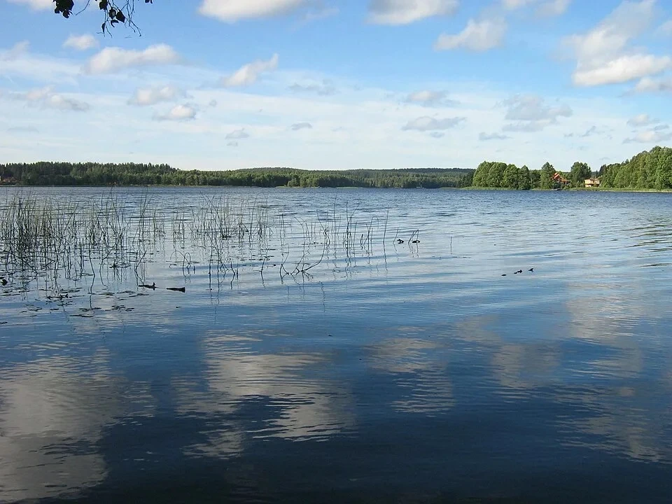 Купаться в Ленобласти без рисков сейчас можно только в 7 водоёмах Приозерского района. 

Специалисты