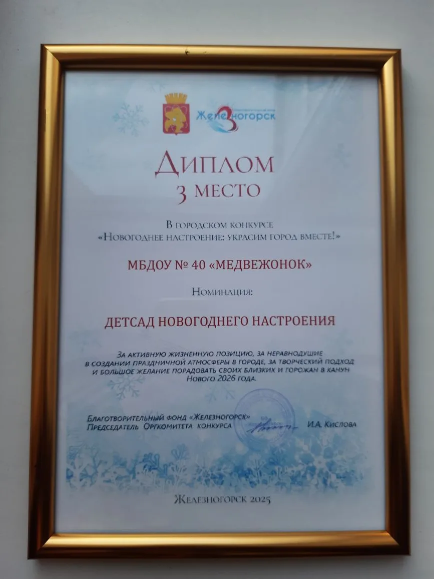 В преддверии нового года наш детский сад получил ещё одну награду - диплом за 3 место в Городском ко