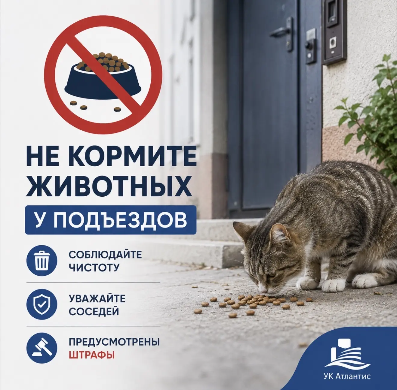 🐾 Уважаемые жильцы!

Напоминаем, что кормление безнадзорных животных на придомовой территории, возл