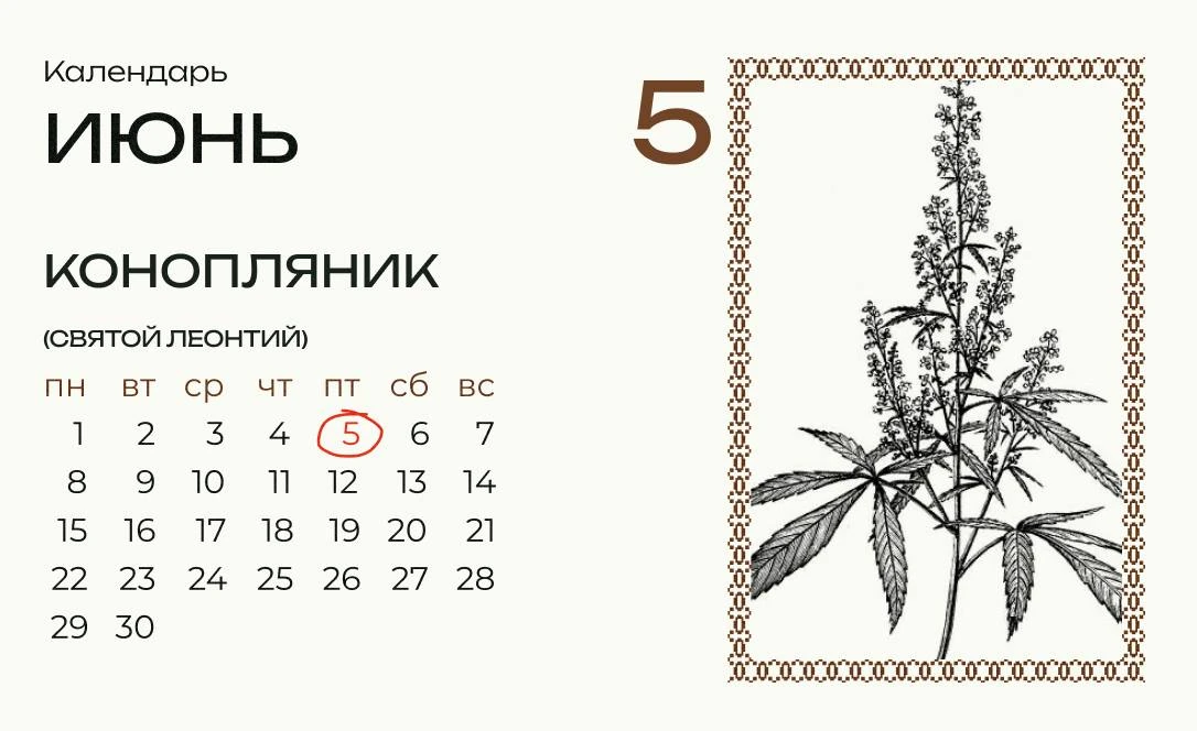 Сегодня Леонтий-Конопляник!

В этот день сеяли коноплю. Народная фантазия придумала свои правила и д