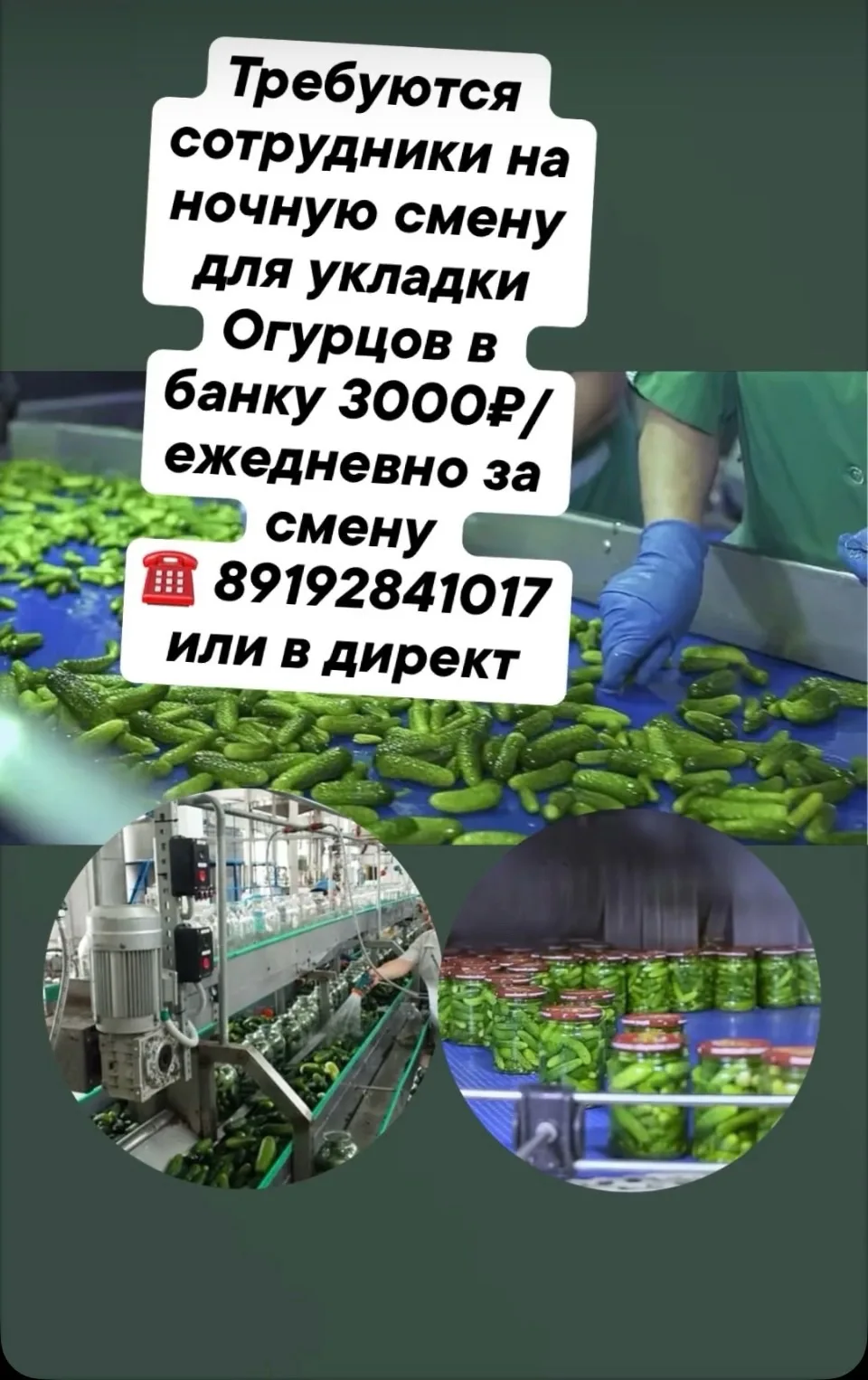 Внимание ‼️ Сезон Кабачковой Икры Открыт‼️Приглашаем желающих подзаработать как на основную работу т