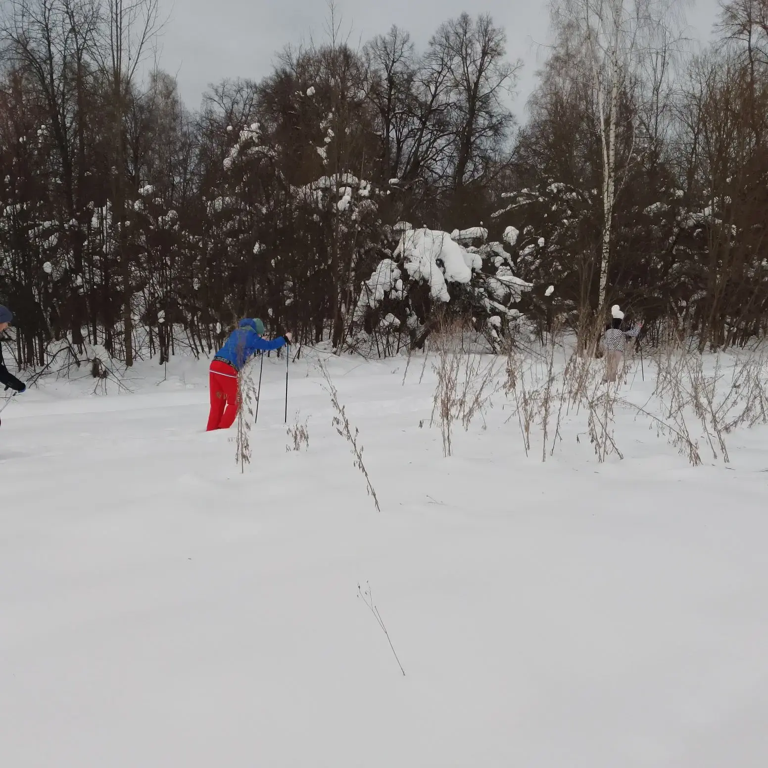 09.02 в рамках Недели здоровья всей школой совершили "Путешествие по сказочному лесу". Все получили 