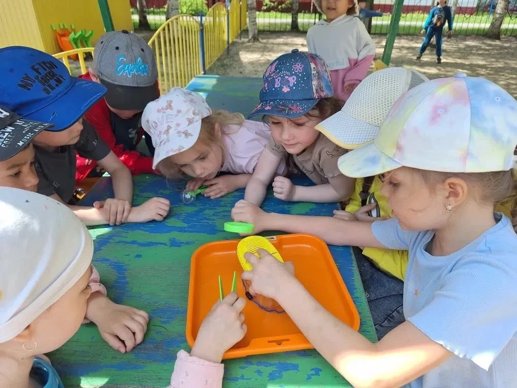 Лето - веселая пора!🌞
 
😋Веселая пора лето, особенно когда можно понаблюдать за растениями и насек