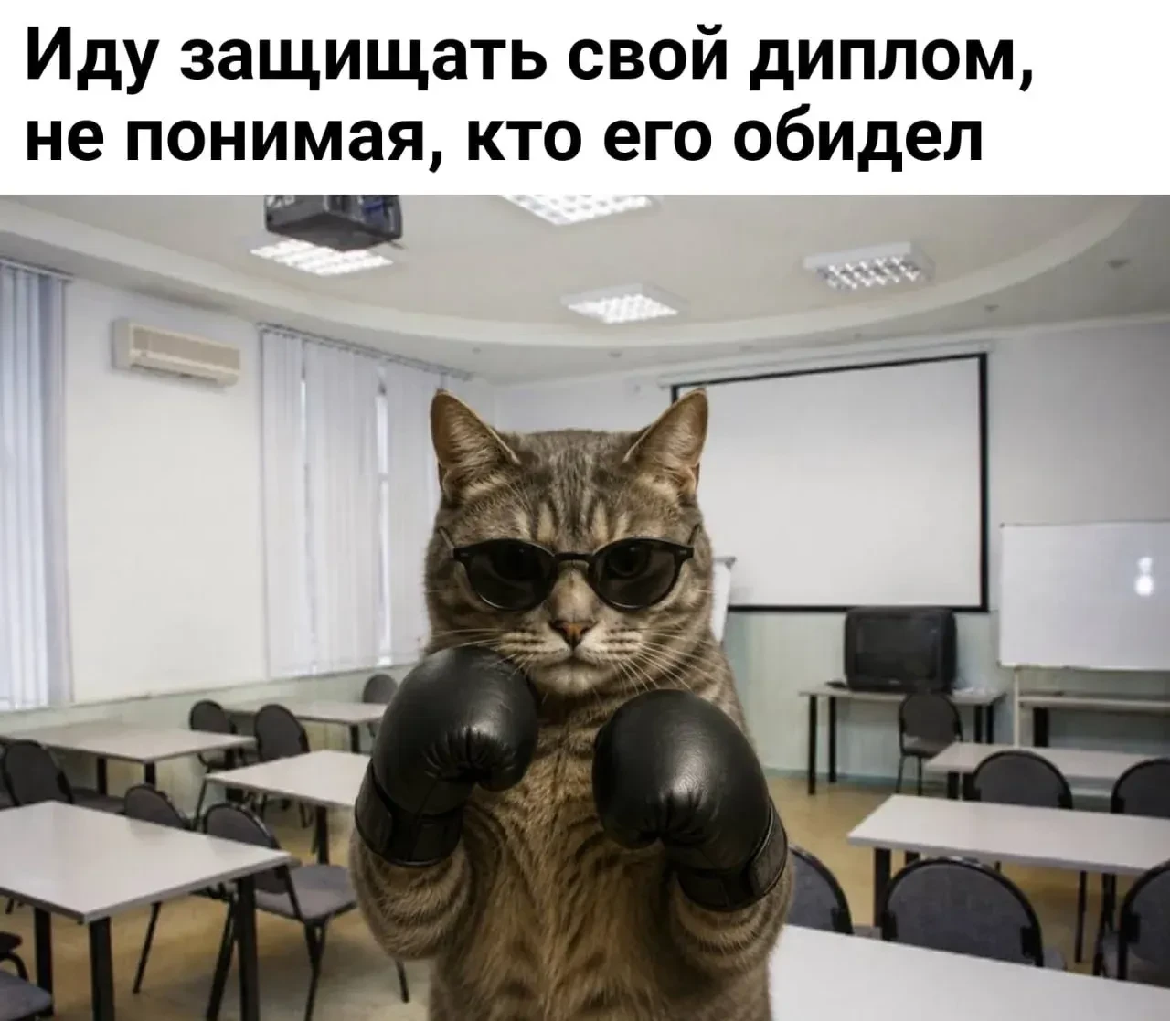 Финальный раунд объявляется открытым 🥊