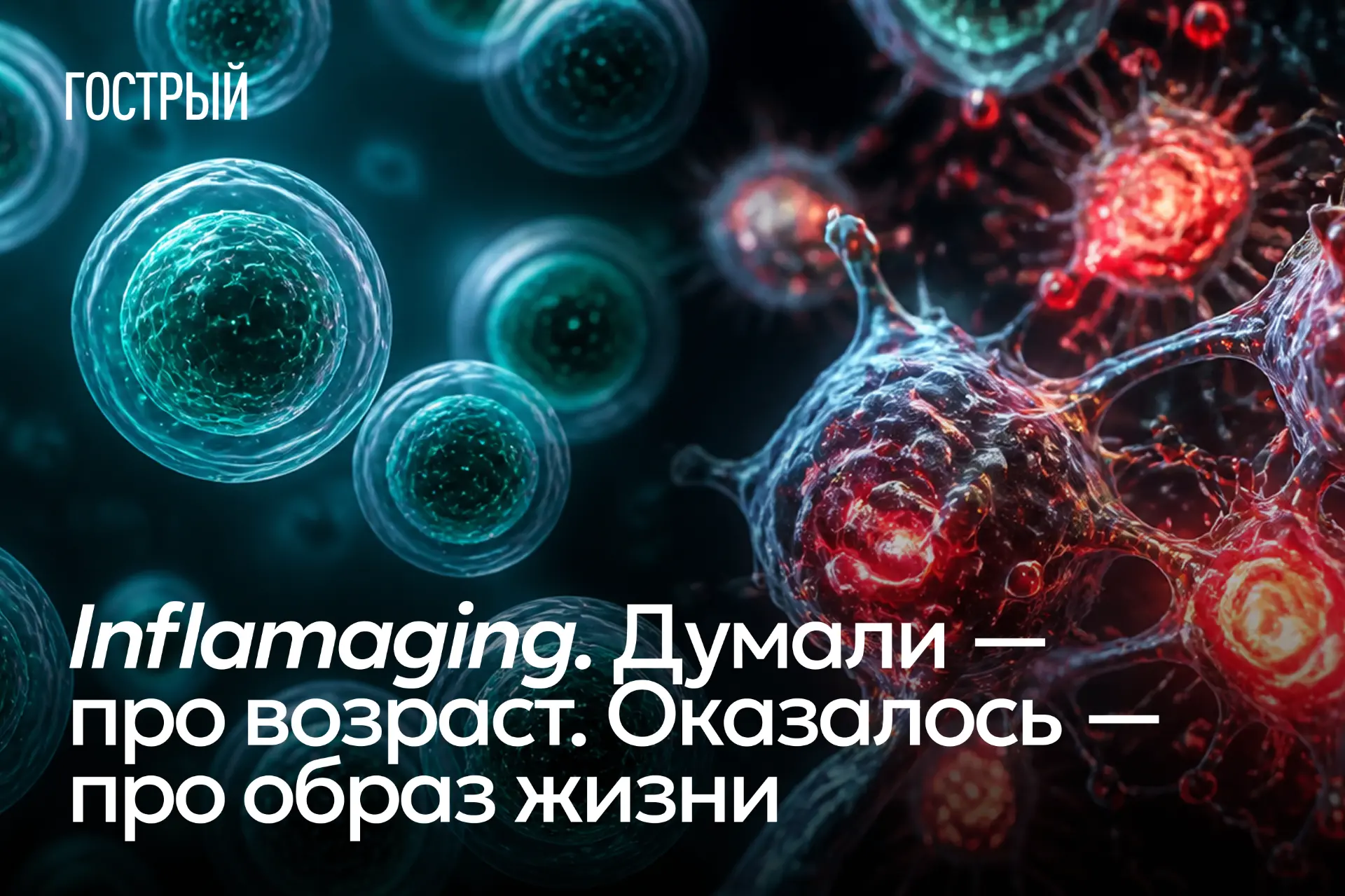 Inflammaging – термин, склеенный из двух английских слов: inflammation (воспаление) и aging (старени