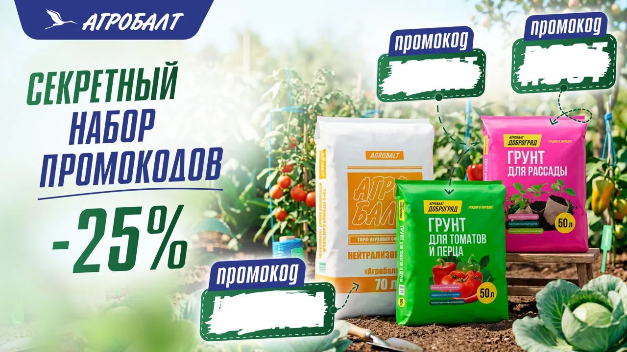 Нашли 12 секретных промокодов на грунты Агробалт 👀

Такого у нас еще не было.

Мы подготовили секре