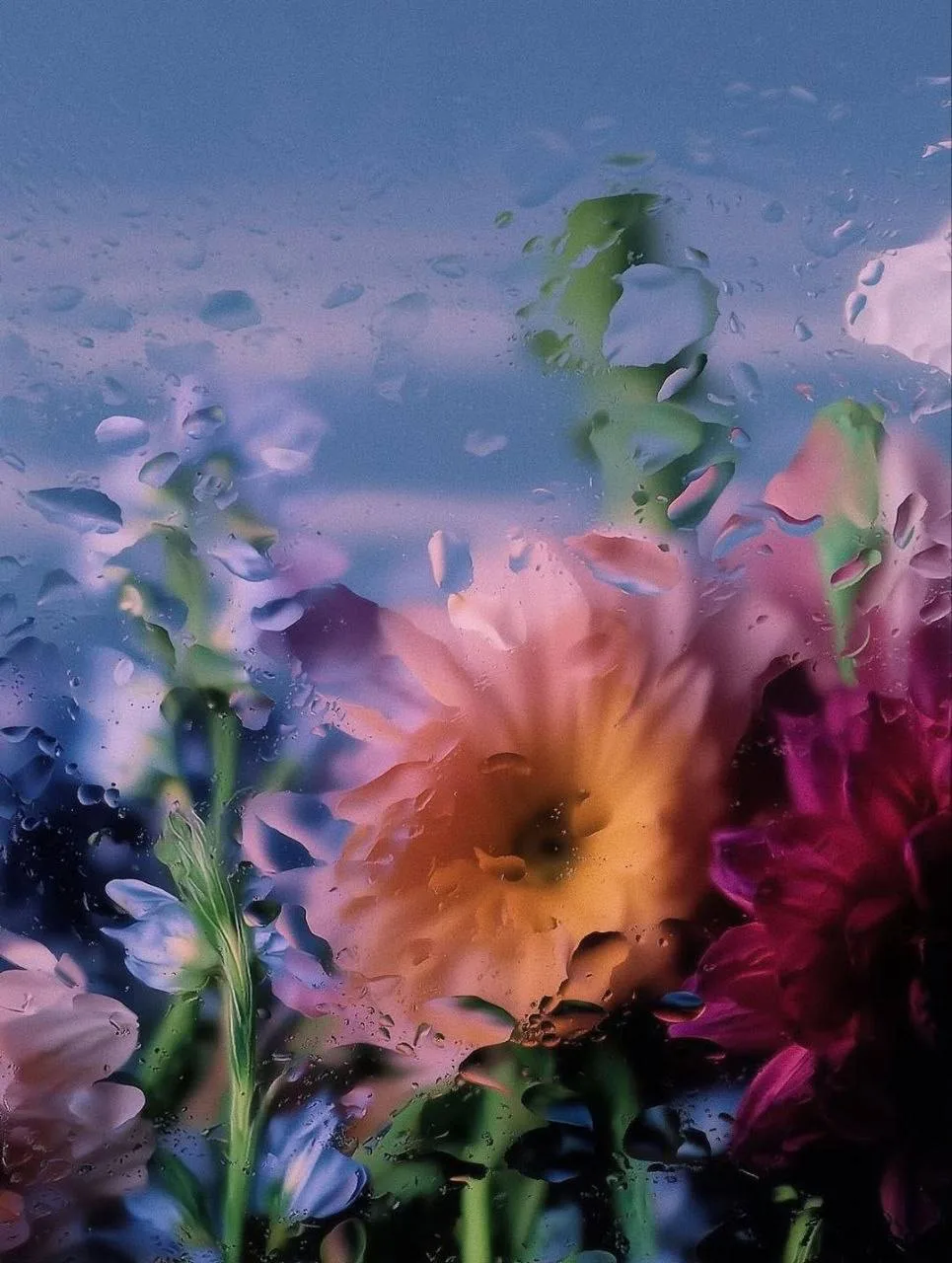 Красота от фотографа Лелы Ампаро. 
Отличных выходных 🌸