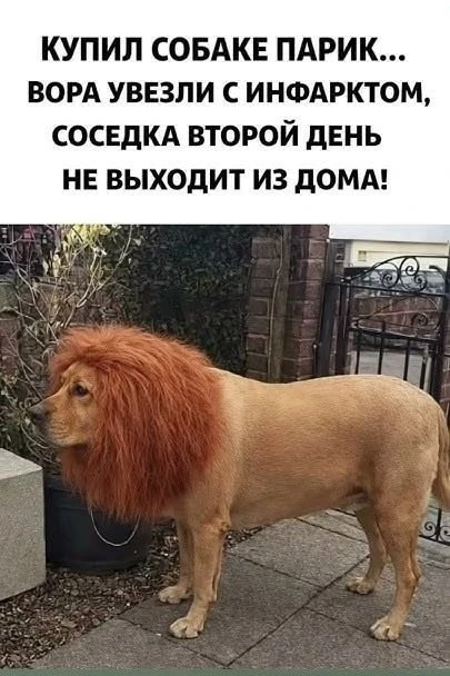 😅