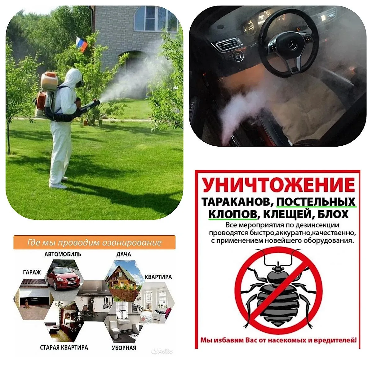 ‼️‼️‼️АКЦИЯ ‼️‼️‼️
ЗАЩИТА от неприятных и небезопасных насекомых!
‼️‼️‼️АКЦИЯ ‼️‼️‼️

 Предупредить 