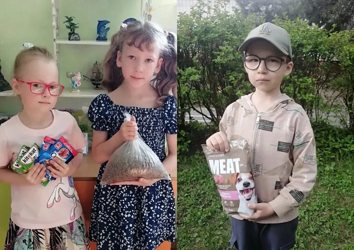 🐶🐱В нашем детском саду прошла акция "Доброе сердце" по сбору корма и необходимых предметов для "бр