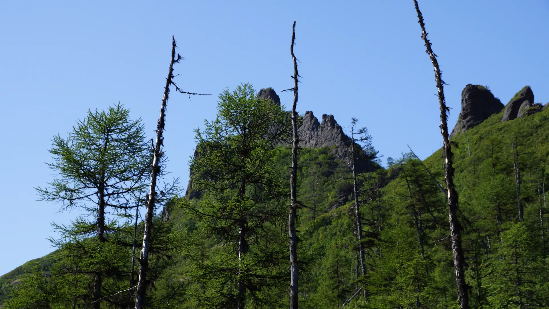 Памятник природы «Базальтовый»

Дорогие друзья! 

⛰️Продолжаем знакомить вас с памятниками природы р