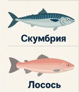Скумбрия против лосося. Чем дешёвая рыба полезнее красной 🤔
⁣
Долгое время скумбрия считалась рыбой