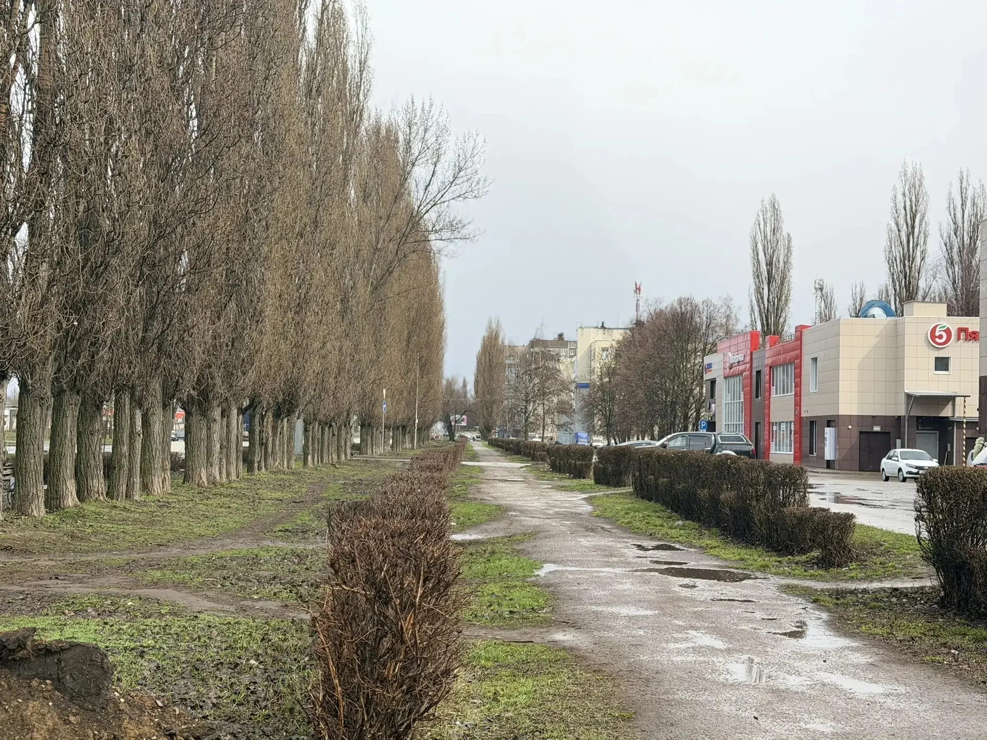 🏡 Сделаем Липецк комфортнее вместе!

✅️ В Липецкой области проходит голосование по выбору территори
