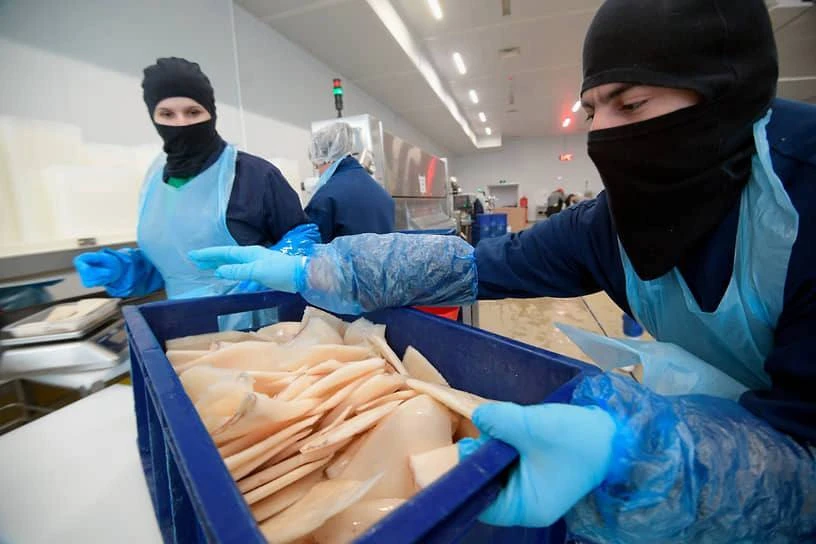 Для рыбаков предложили упростить участие в госзакупках.

ВАРПЭ обратилась в Минсельхоз с предложение
