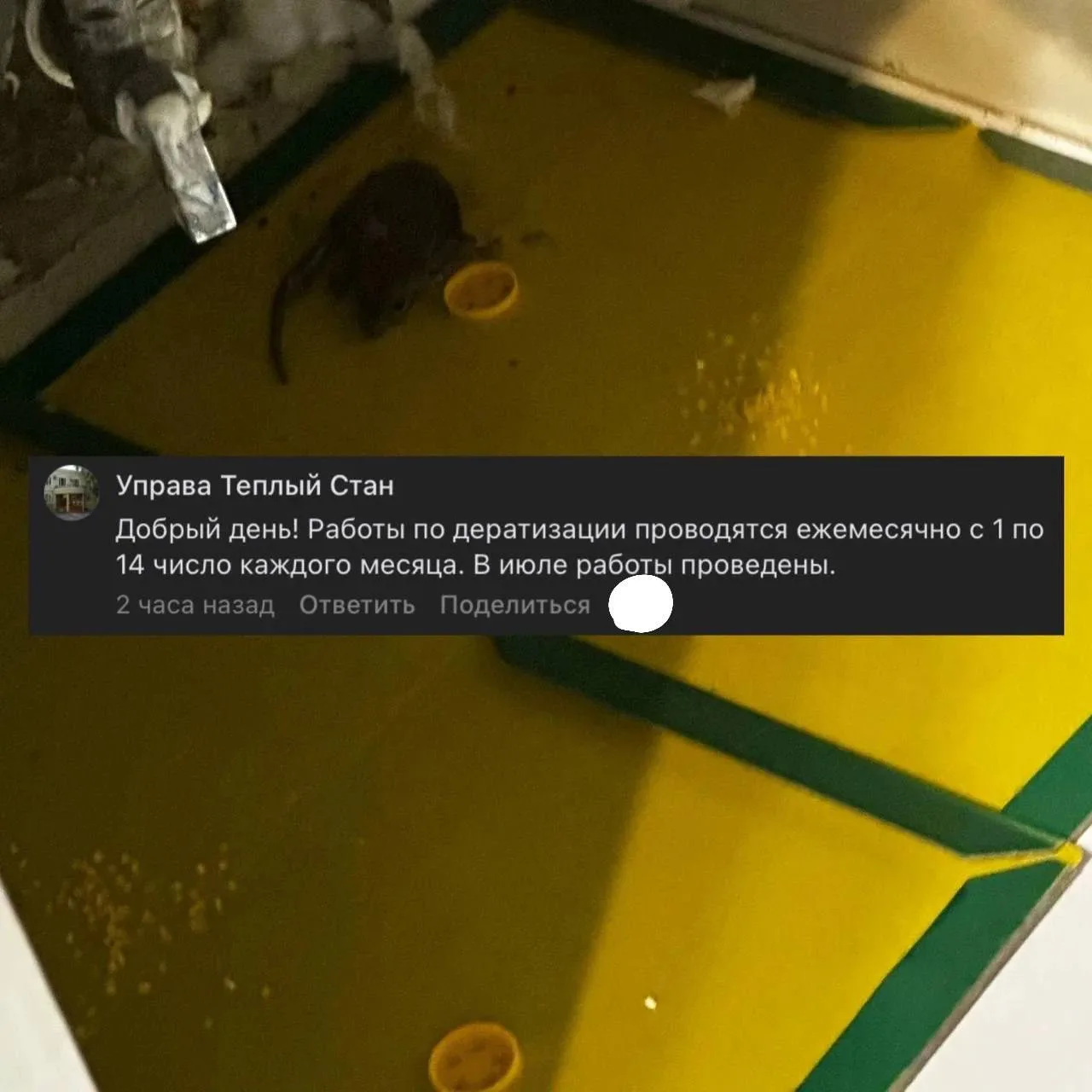 🏠 Дезинфекция от крыс в доме на Тёплом Стане пройдёт в августе

Управа подтвердила: следующая обраб