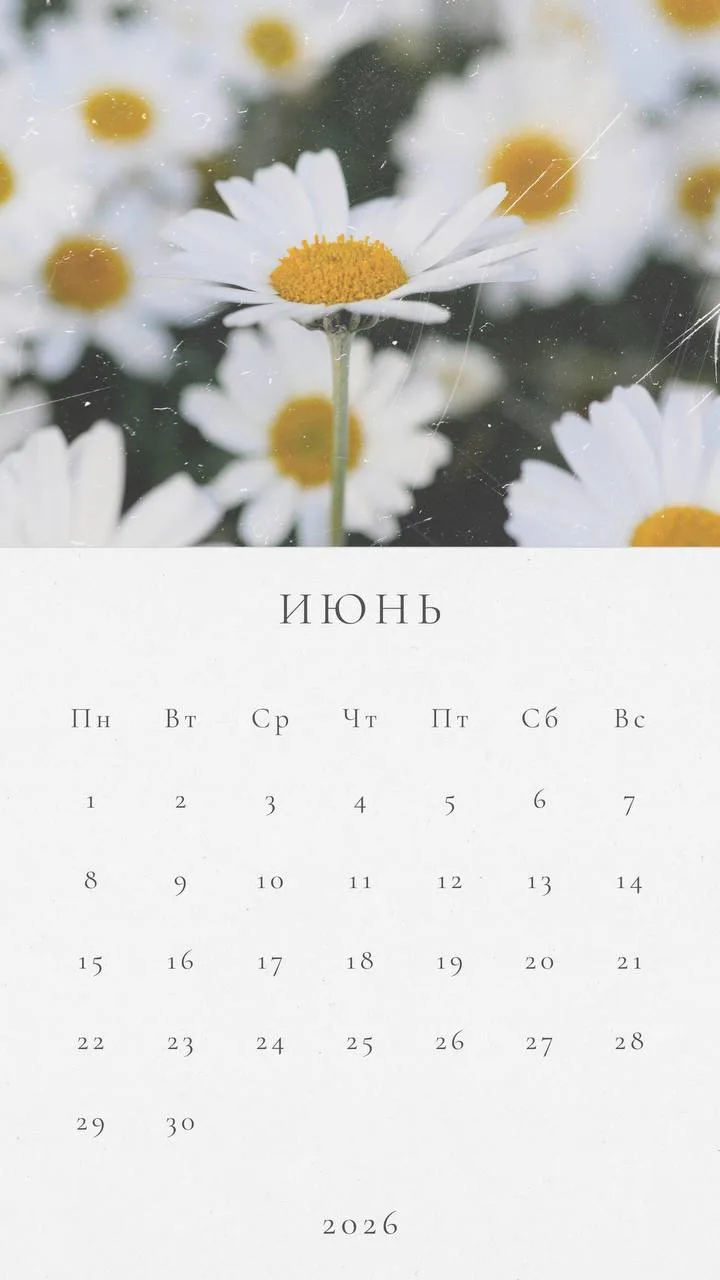 💻⏰🗓📁📚
Календарь бухгалтера на июнь 2026 года.

📍03 июня
Организации и ИП (кроме ИП без работник