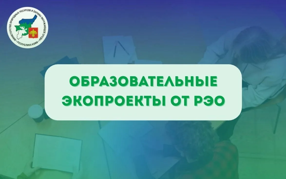 📚♻️ Участвуйте в просветительском видеокурсе «Зеленая школа»

Курс соответствует целям нацпроекта «