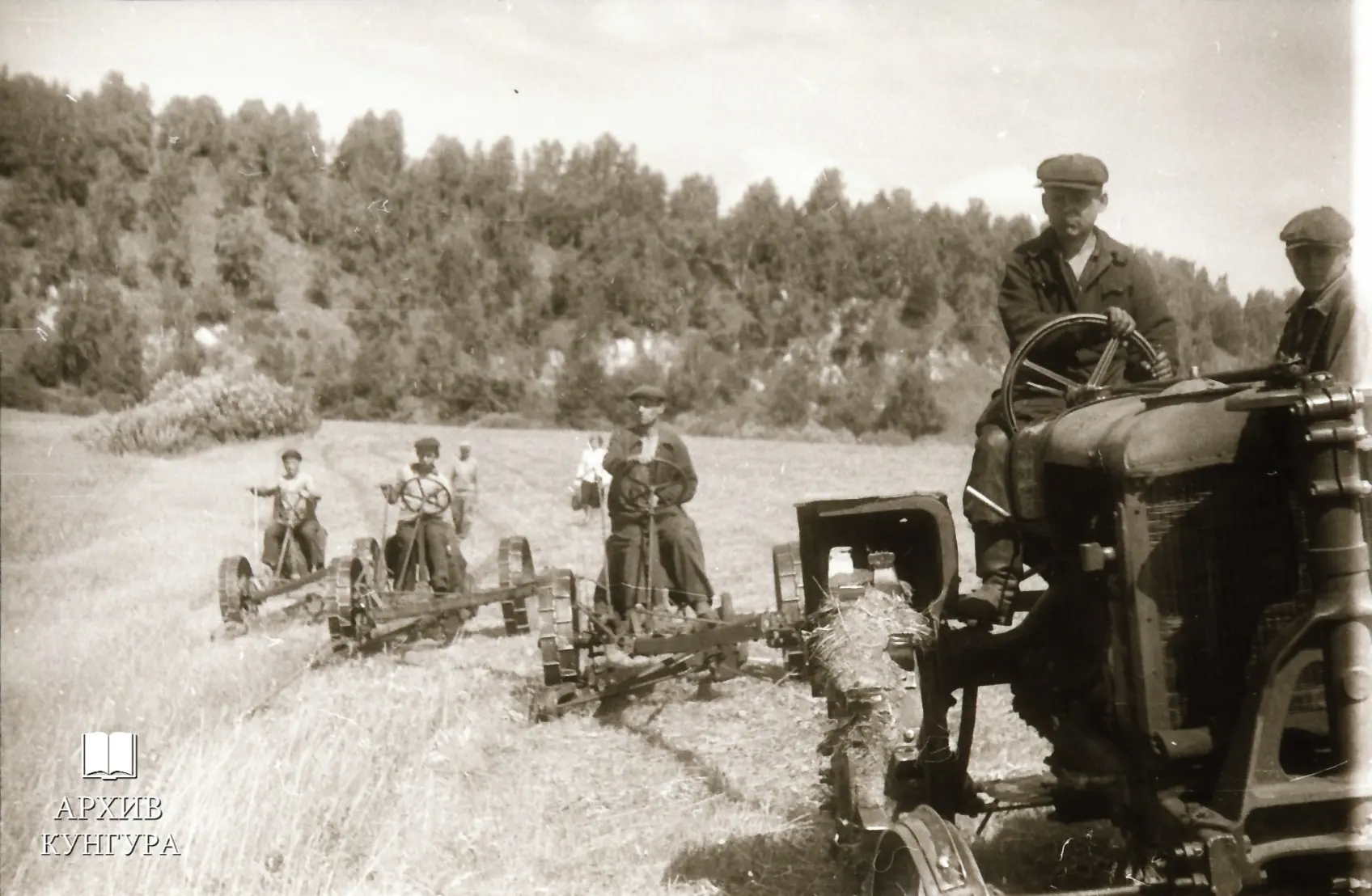 Сельские жители на заготовке сена, 1950-е гг.