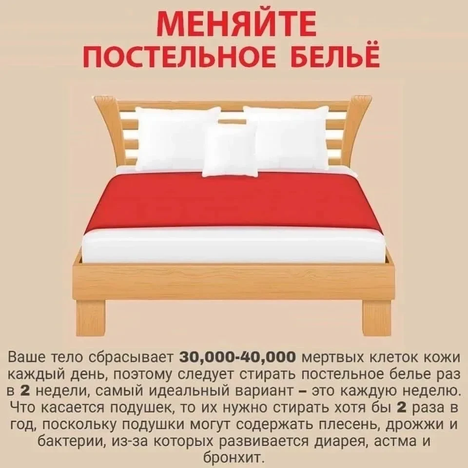 Почему нужно стирать постельное белье раз в неделю📌

🩷 Подписывайтесь 👇
👉Пенсионеры МАХ👈