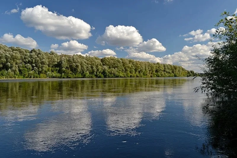 ❗️Вода в Суре признана «очень загрязнённой» — хуже, чем в 2024 году

В докладе Минлесхоза отмечено, 